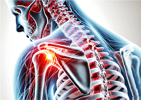 歯並びが与える全身への影響