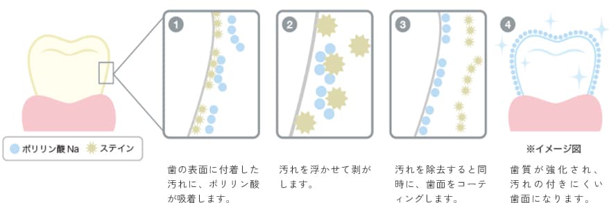 ポリリン酸ナトリウムの作用の仕組み